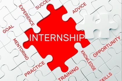 Online Internship